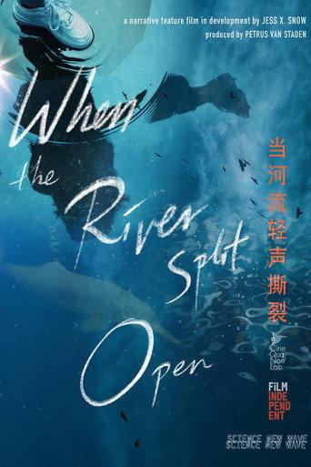 When the River Split Open () poster