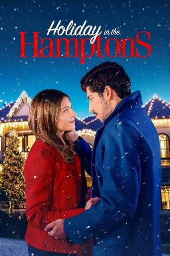Holiday in the Hamptons (2024) poster
