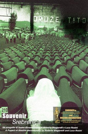 Souvenir Srebrenica (2006) poster