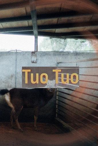 Tuo Tuo (2022) poster