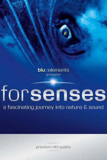 Forsenses - A Fascinating Journey into Nature & Sound (2009) poster