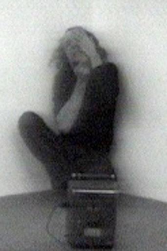 Visions of a Disappearance (1973) poster