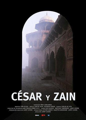 César y Zaín (2005) poster