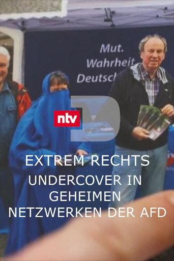 Extrem rechts - Undercover in geheimen Netzwerken der AfD (2024) poster