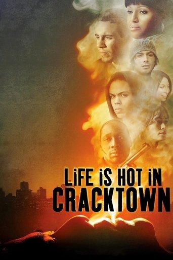 Life Is Hot in Cracktown (2009) poster