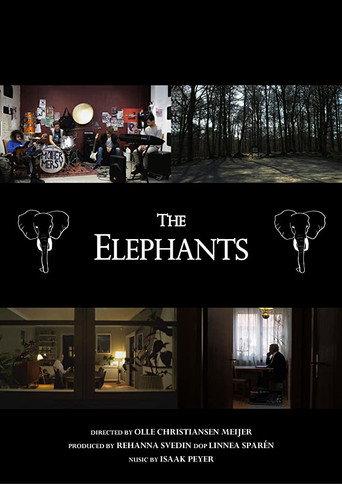 The Elephants (2019) poster