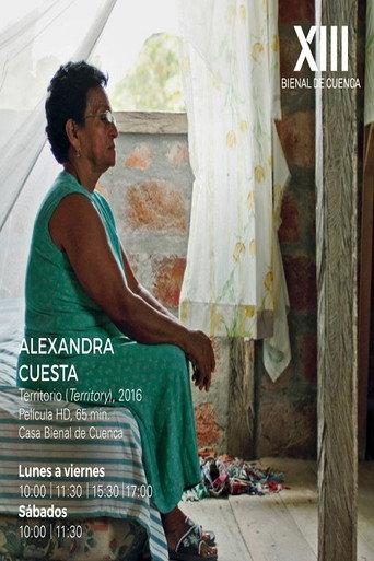 Territorio (2016) poster