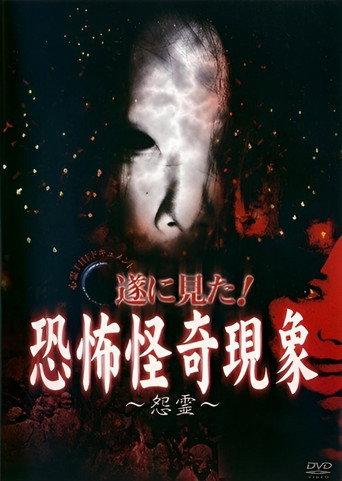 Paranormal THE Documentary: Finally Witnessed! Terrifying and Strange Phenomena - Resentful Spirits (2007) poster