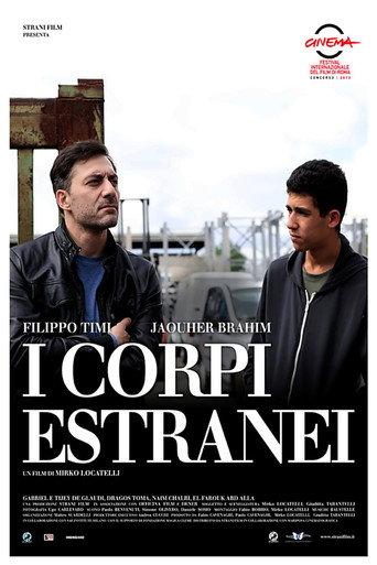 Foreign Bodies (2013) poster
