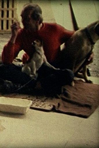 Comme un chien (2007) poster