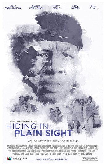 Hiding in Plain Sight (2012) poster