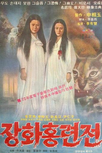A Story of Two Sisters (1972) poster