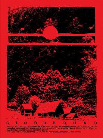 Bloodbound () poster