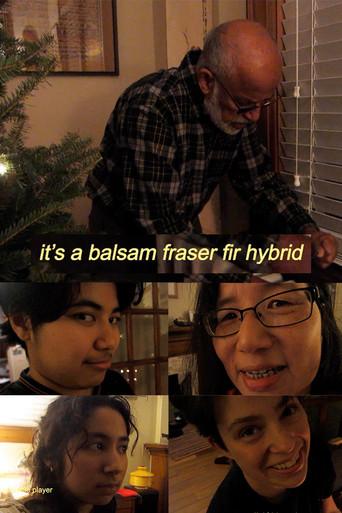 balsam x fraser fir hybrid () poster