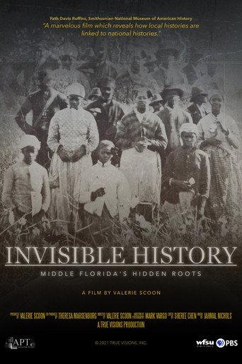 Invisible History: Middle Florida's Hidden Roots (2021) poster