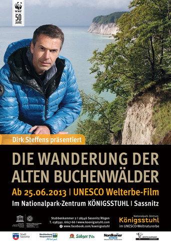 The Hike Through the Ancient Beech Forests - UNESCO World Heritage since 2011 (2013) poster