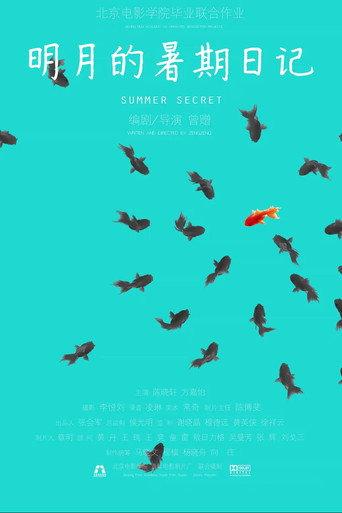 Summer Secret (2014) poster