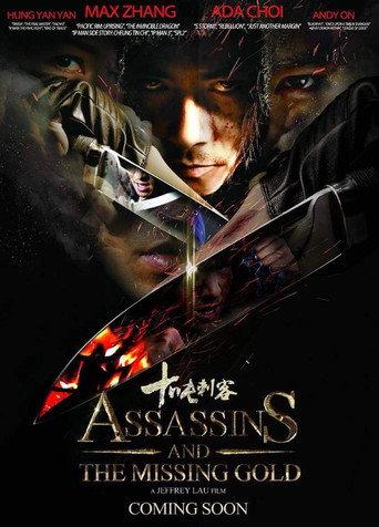 Assassins and the Missing Gold () poster
