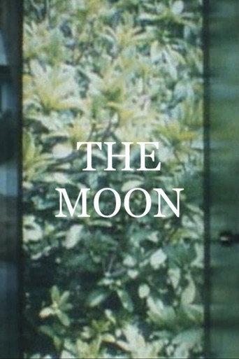 The Moon (1994) poster