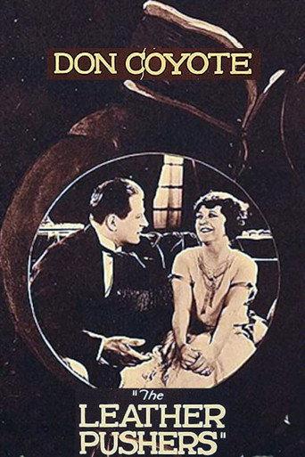 Don Coyote (1923) poster