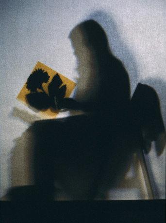 Lourdes Castro Shadows (1970) poster