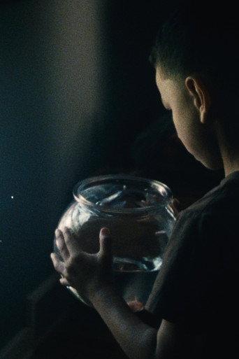 The Death of a Fish () poster