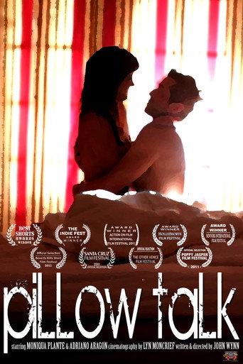 Pillow Talk (2011) poster
