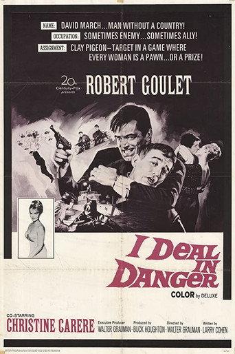 I Deal in Danger (1966) poster