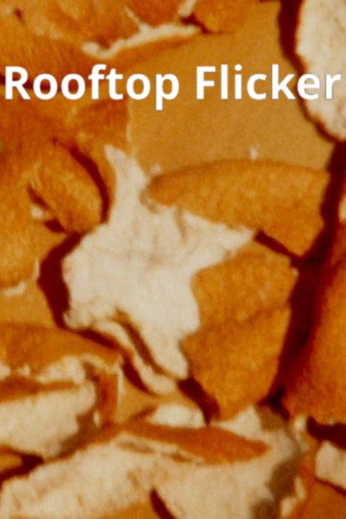 Rooftop Flicker 2022 official movie poster