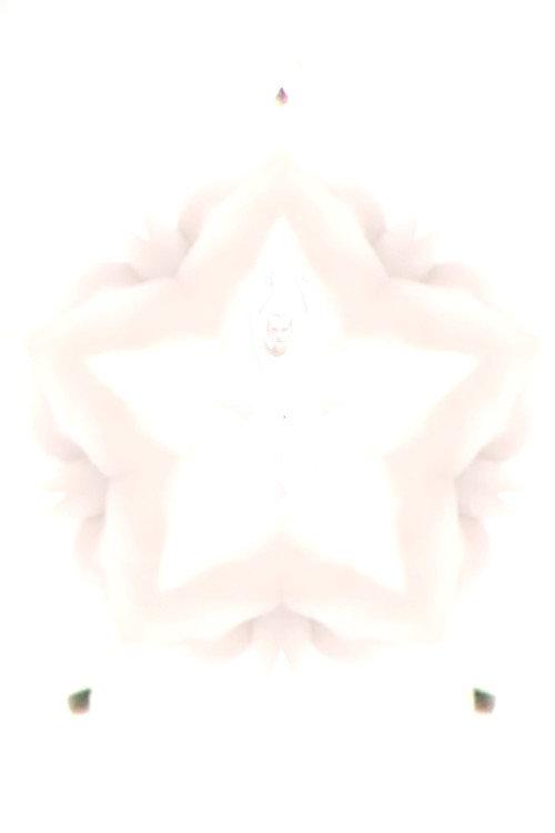 Flower of Flesh, Celestial Body 2023 official movie poster