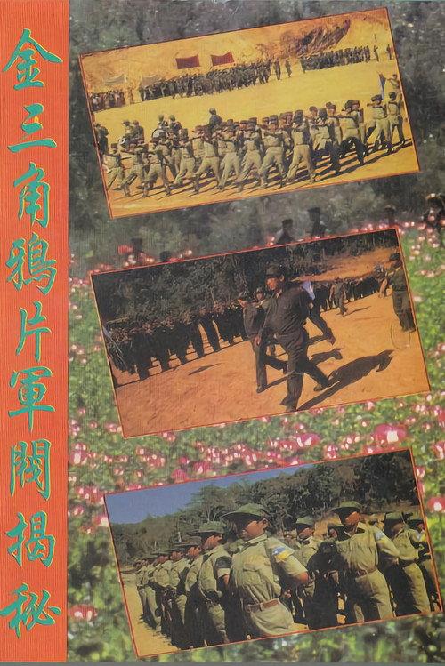 Warlords of the Golden Triangle 1987 official movie poster