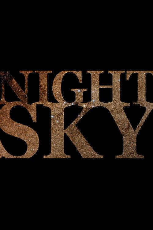 Night Sky 2011 official movie poster