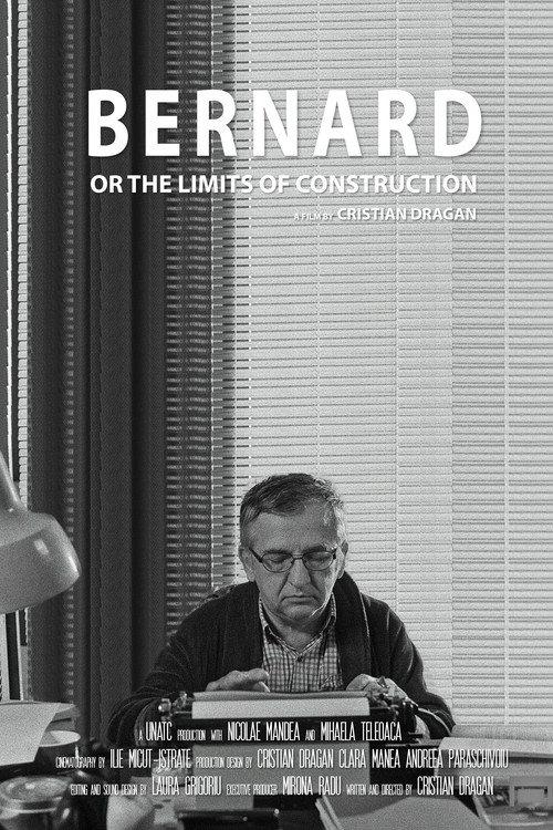 Bernard or the Limits of Construction 2016 official movie poster