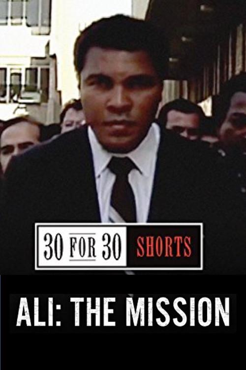 Ali: The Mission 2013 official movie poster