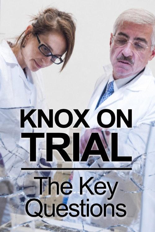 Amanda Knox Trial: 5 Key Questions 2013 official movie poster