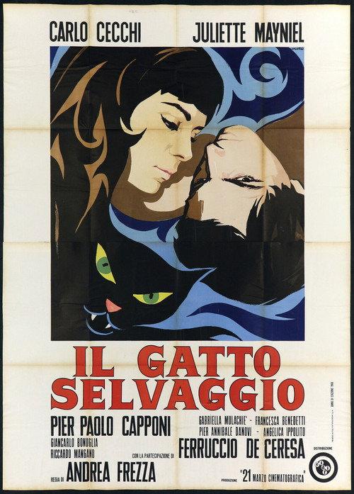 The Wild Cat 1968 official movie poster