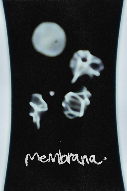 Membrana 2025 official movie poster