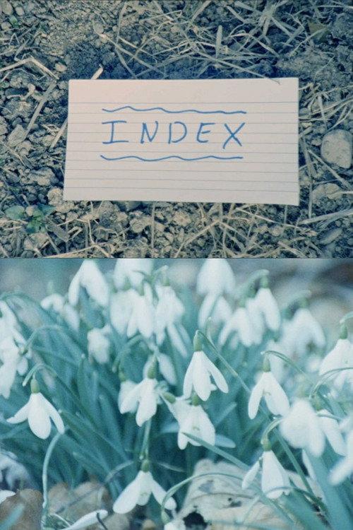 Index 2018 official movie poster