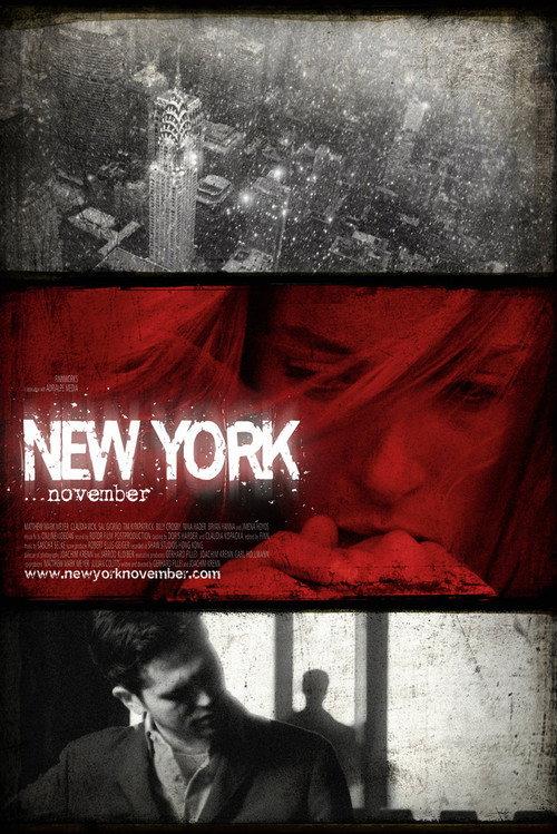 New York November 2011 official movie poster