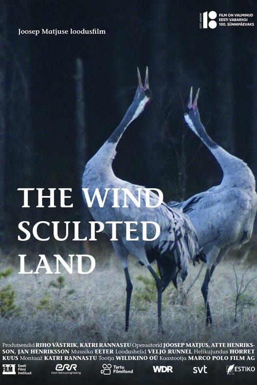 The Wind Sculpted Land 2018 official movie poster