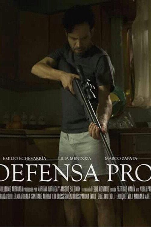 In Self Defense 2015 official movie poster