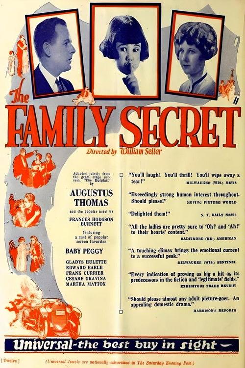 The Family Secret 1924 official movie poster