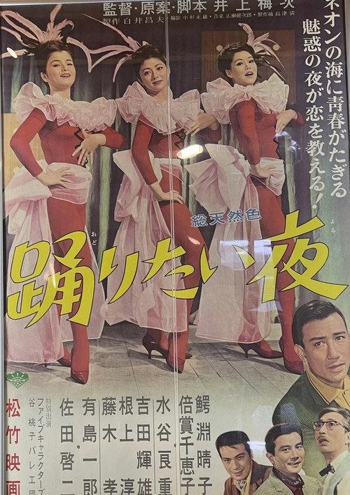 The Night We Danced 1963 official movie poster