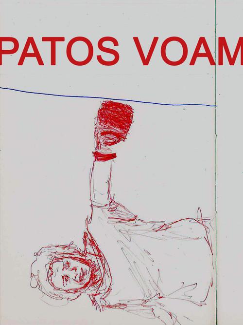 Patos Voam 2015 official movie poster