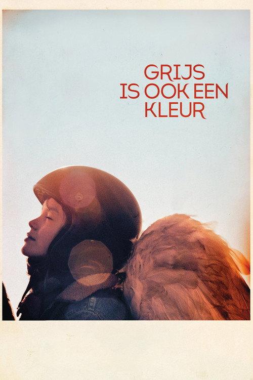 When Grey Is a Colour 2016 official movie poster