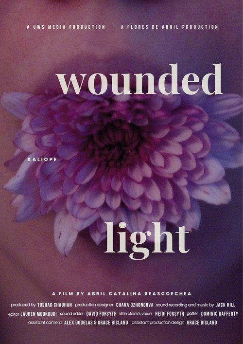 Wounded Light official movie poster