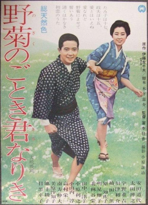 She Was Like a Wild Chrysanthemum 1966 official movie poster