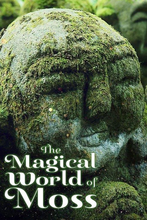 The Magical World of Moss 2023 official movie poster