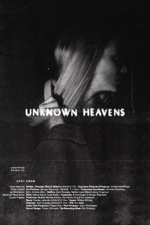Unknown Heavens 2024 official movie poster
