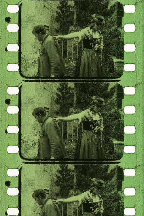 Der Sonnwendhof 1918 official movie poster